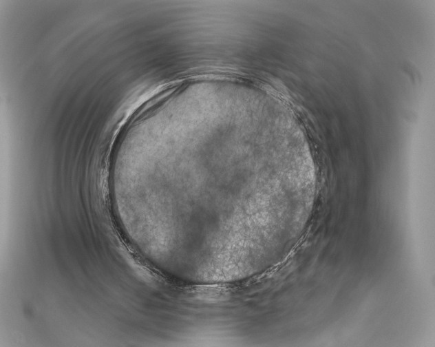 X0000111010050200907311100