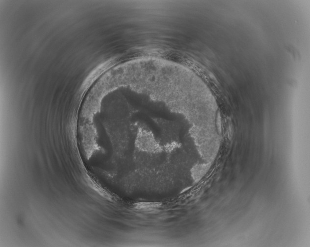 X0000111010051200907311100