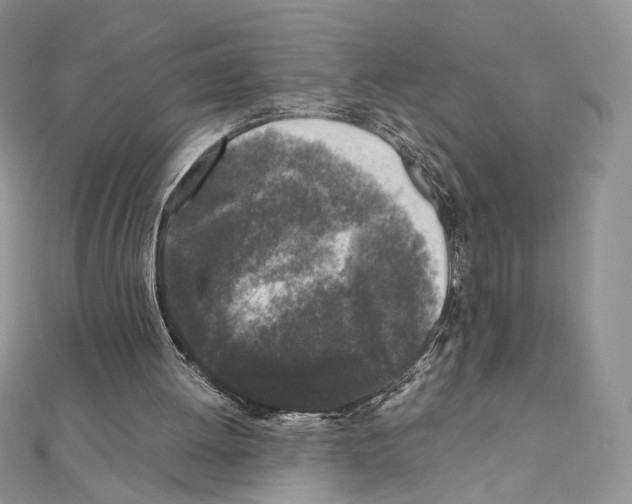 X0000111010052200907311100