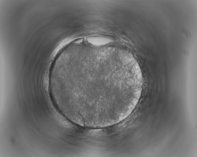 X0000111010054200907311100