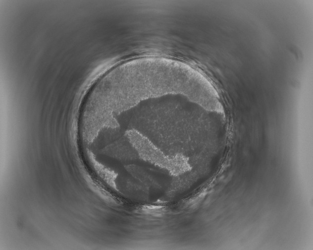 X0000111010055200907311100