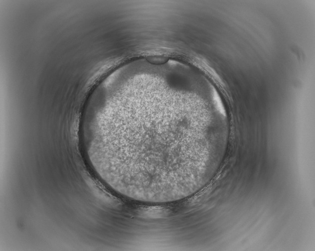 X0000111010058200907311100