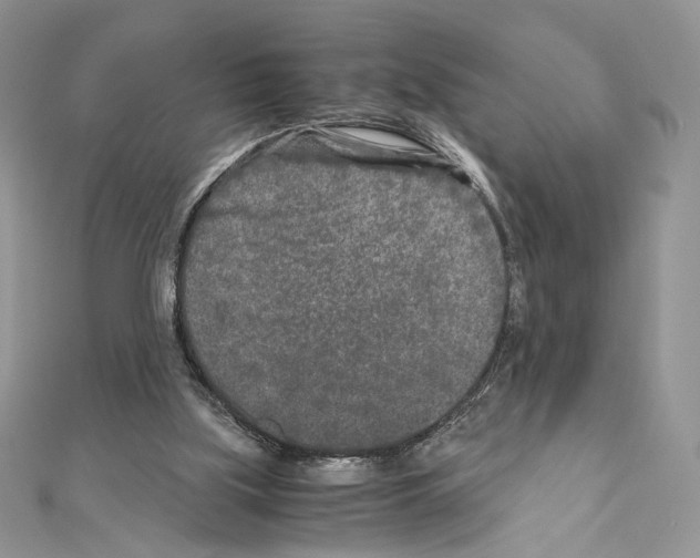 X0000111010059200907311100
