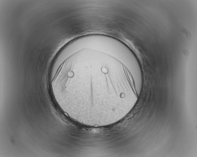 X0000111010060200907311100