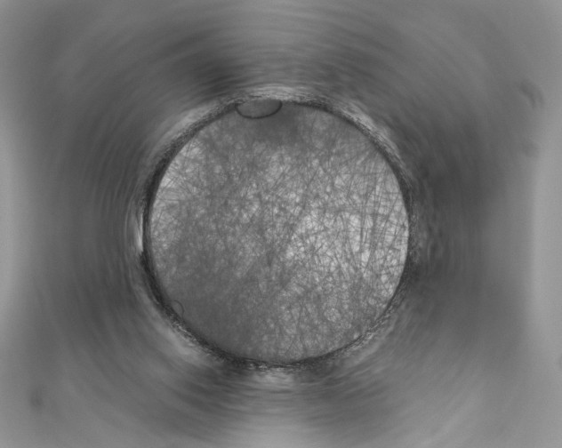 X0000111010062200907311100