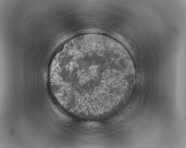 X0000111010063200907311100