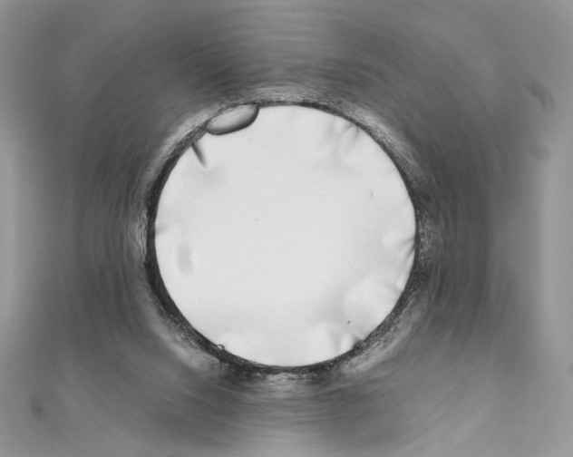 X0000111010064200907311100