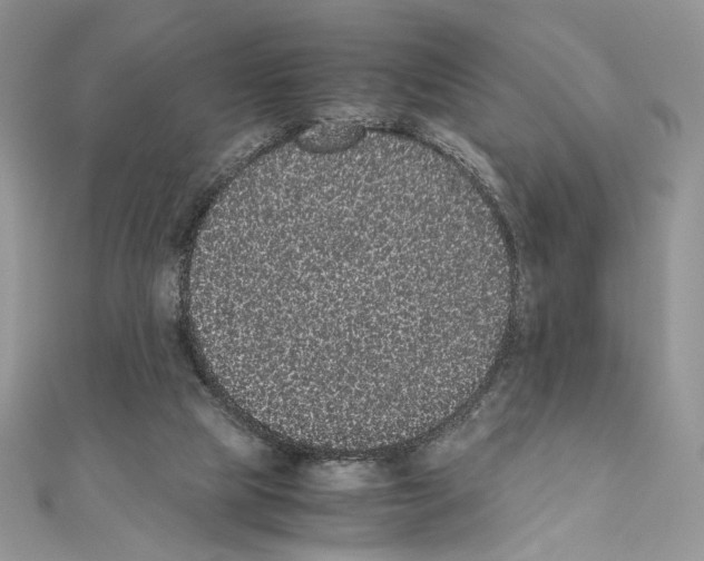 X0000111010065200907311100