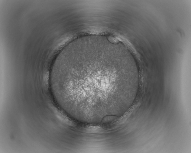 X0000111010066200907311100