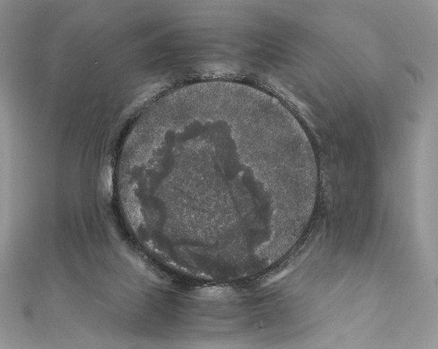 X0000111010067200907311100