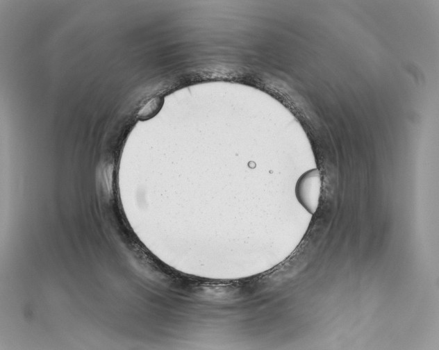X0000111010070200907311100