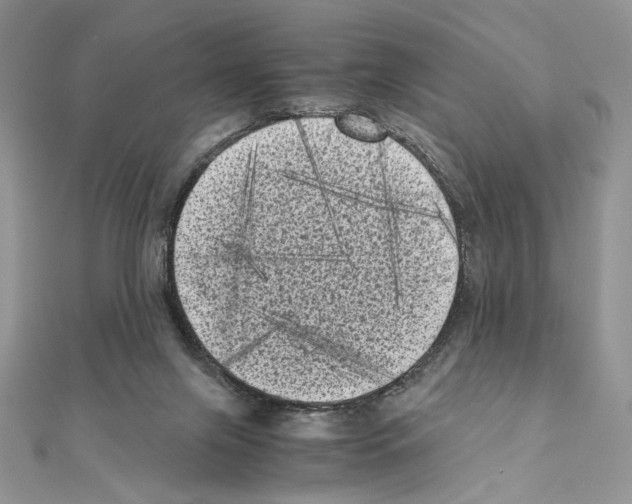 X0000111010071200907311100