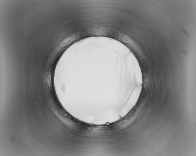 X0000111010072200907311100