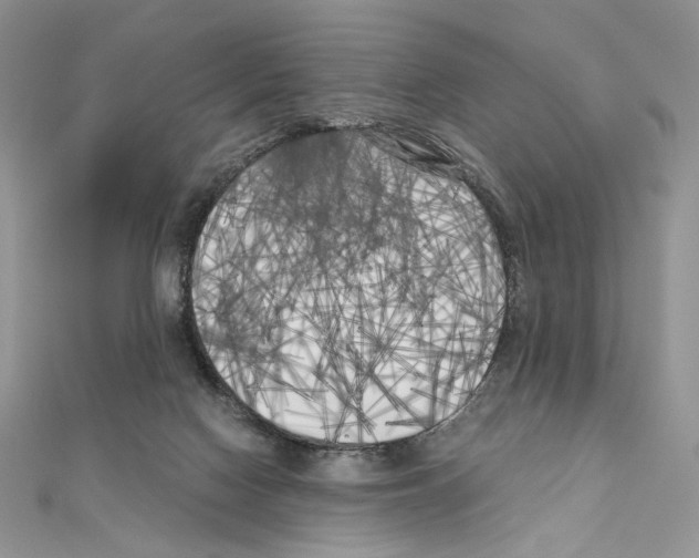 X0000111010074200907311100