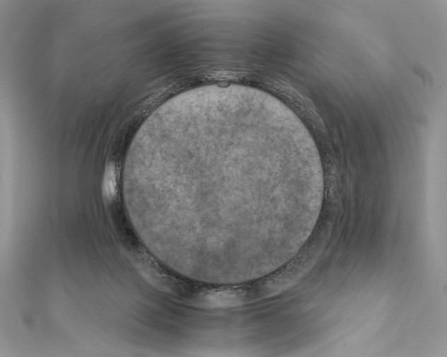 X0000111010075200907311100