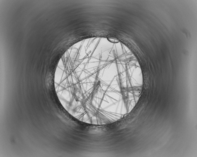 X0000111010077200907311100