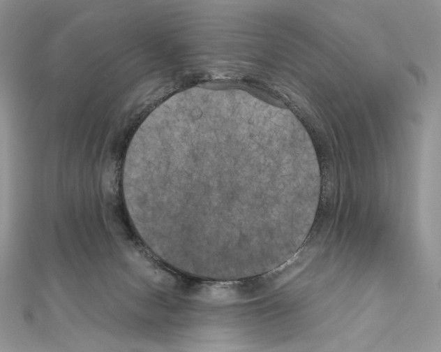 X0000111010078200907311100