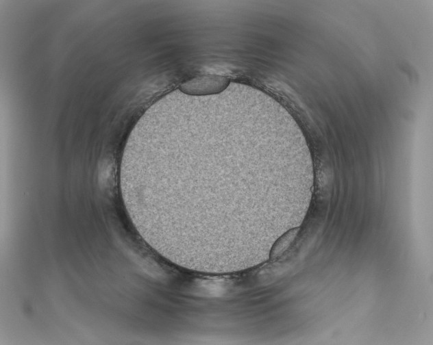 X0000111010079200907311100