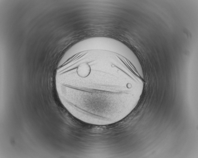 X0000111010080200907311100