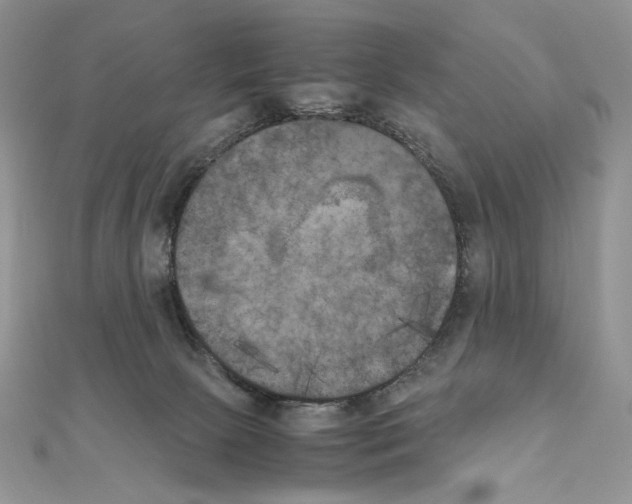 X0000111010081200907311100