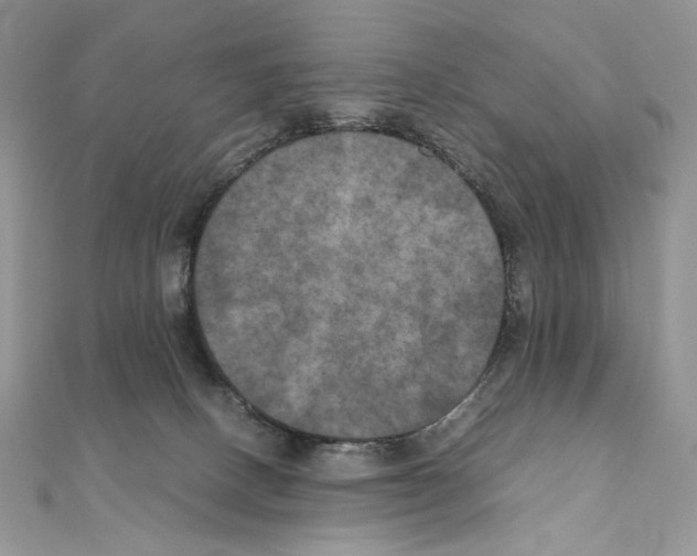 X0000111010082200907311100