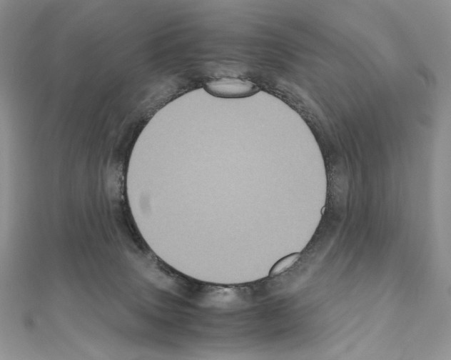 X0000111010083200907311100