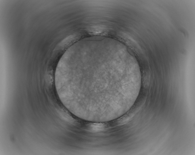 X0000111010085200907311100