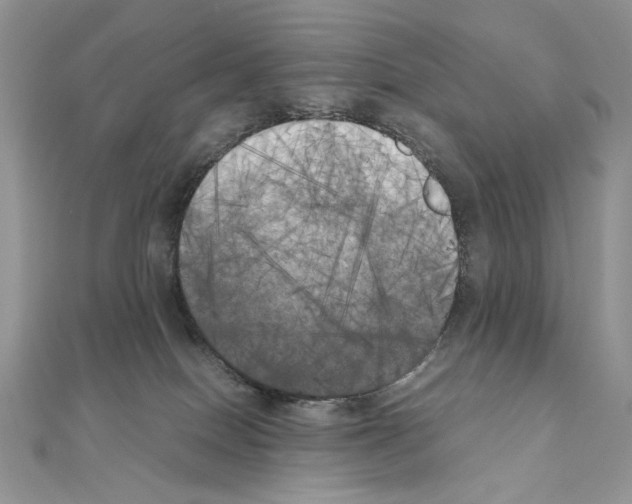 X0000111010086200907311100