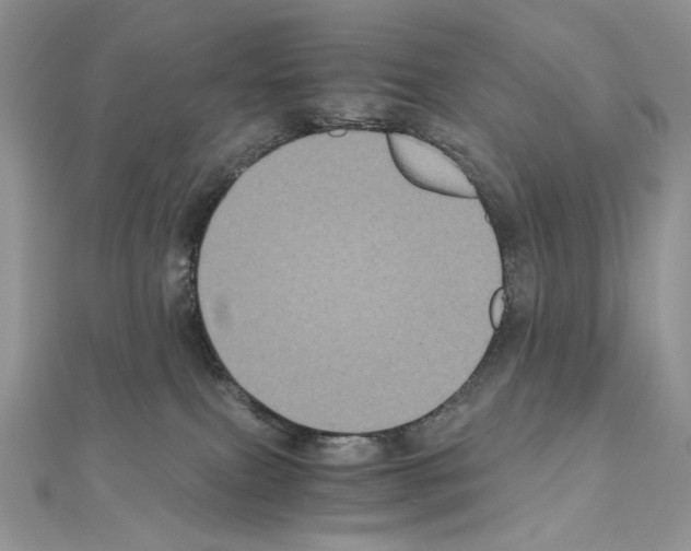 X0000111010087200907311100