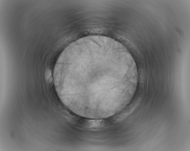 X0000111010089200907311100