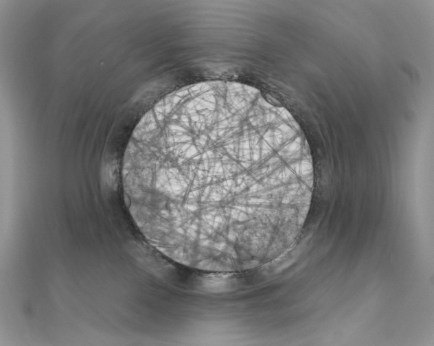 X0000111010090200907311100