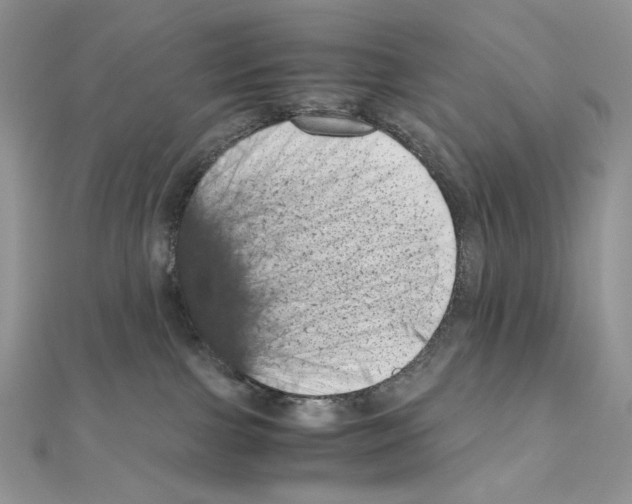 X0000111010091200907311100