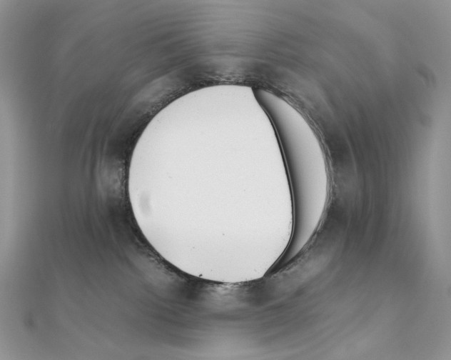 X0000111010092200907311100