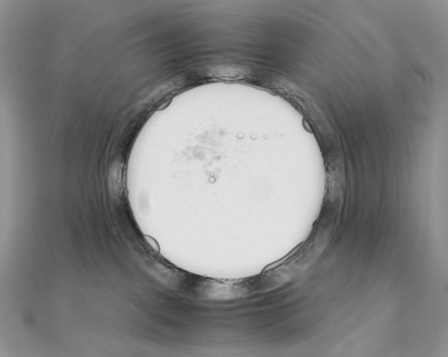 X0000111010093200907311100