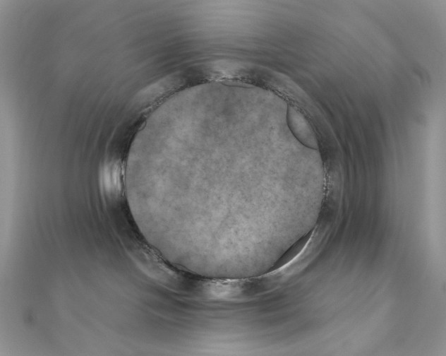 X0000111010094200907311100