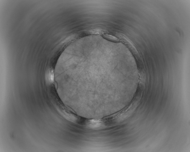 X0000111010095200907311100