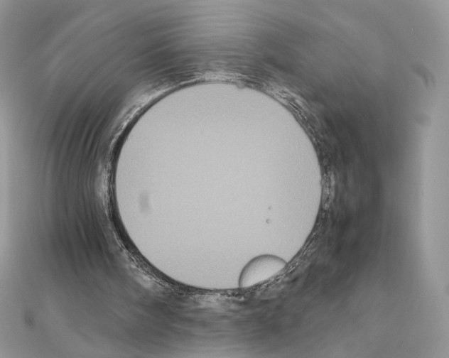 X0000111010098200907311100