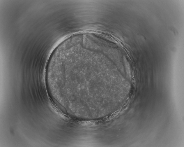 X0000111010100200907311100