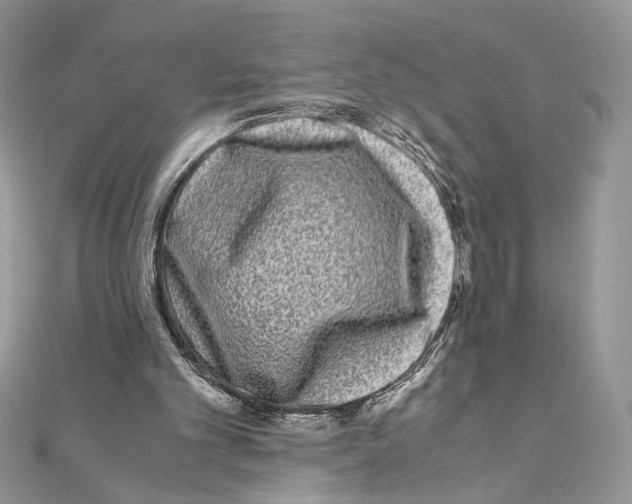 X0000111010101200907311100