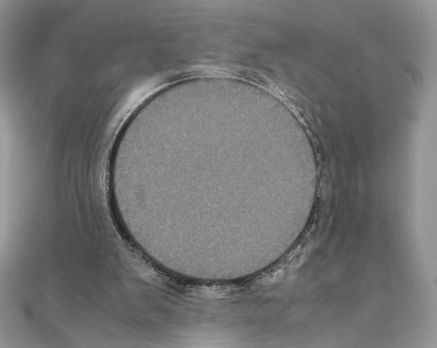 X0000111010103200907311059