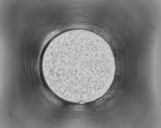 X0000111010104200907311059
