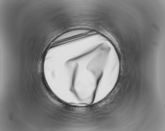 X0000111010105200907311059