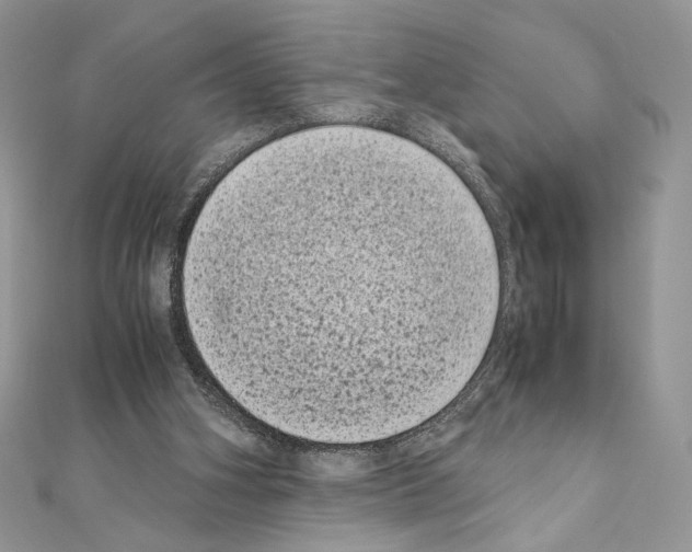 X0000111010106200907311059
