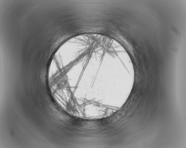 X0000111010107200907311059
