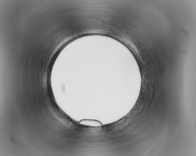 X0000111010108200907311059
