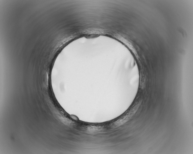 X0000111010109200907311059