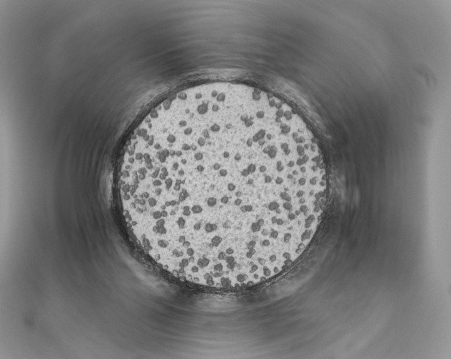 X0000111010110200907311059