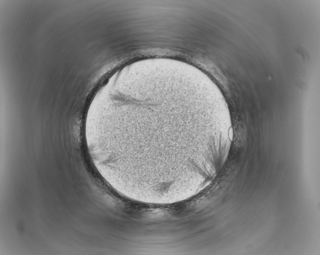 X0000111010111200907311059