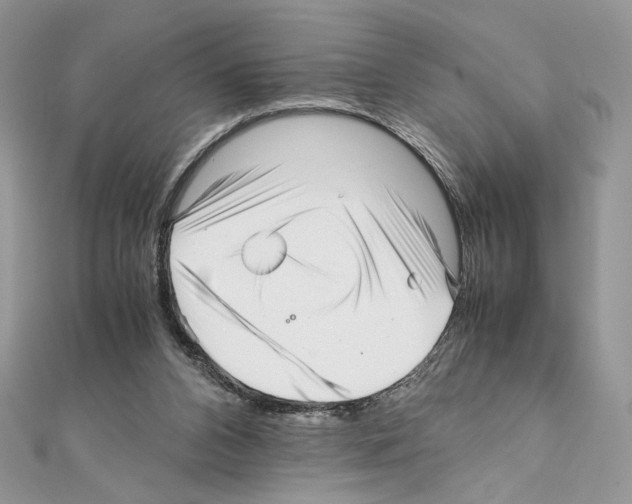 X0000111010112200907311059