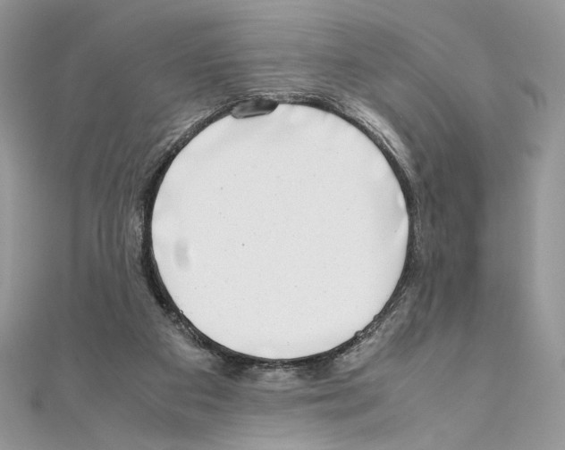 X0000111010113200907311059